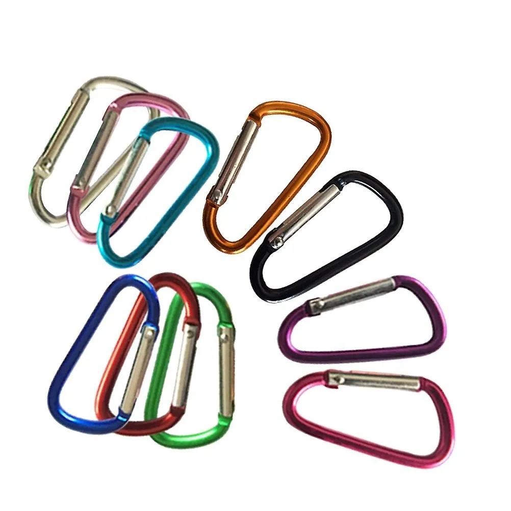 10 Pcs Carabiner Keys Retractable Keychain Carabiners Heavy Duty Climbing Alum