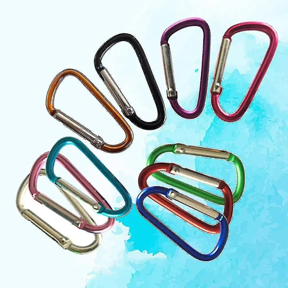 10 Pcs Carabiner Keys Retractable Keychain Carabiners Heavy Duty Climbing Alum