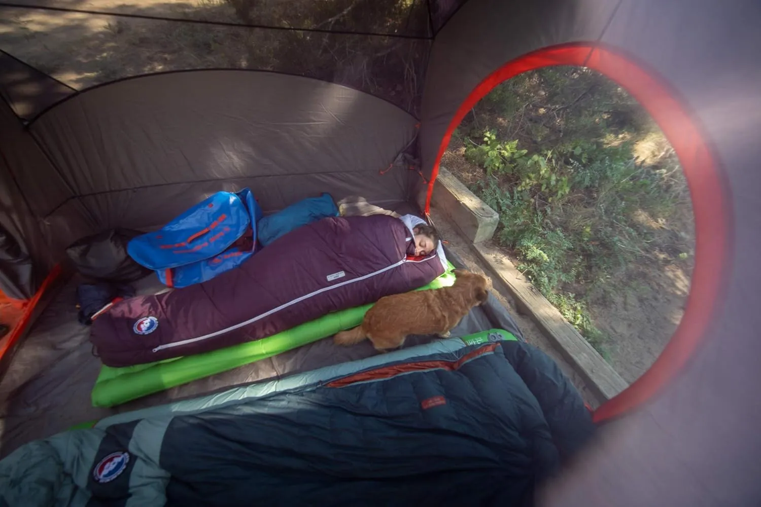 Big Agnes Women's Sidewinder Camp Sleeping Bag