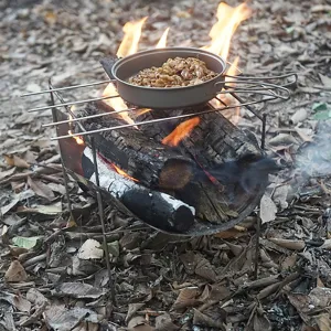 Campinstove