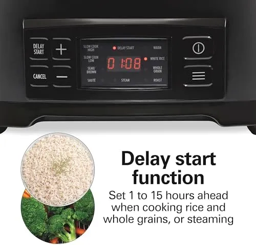 Hamilton Beach 6 Quart 9-in-1 Programmable Slow Cooker with Sear, Browning, Rice, Steam, Sauté, Roast Delay Start & Keep Warm Functions, Nonstick PFAS-Free Dishwasher Safe Crock, Black (33604)