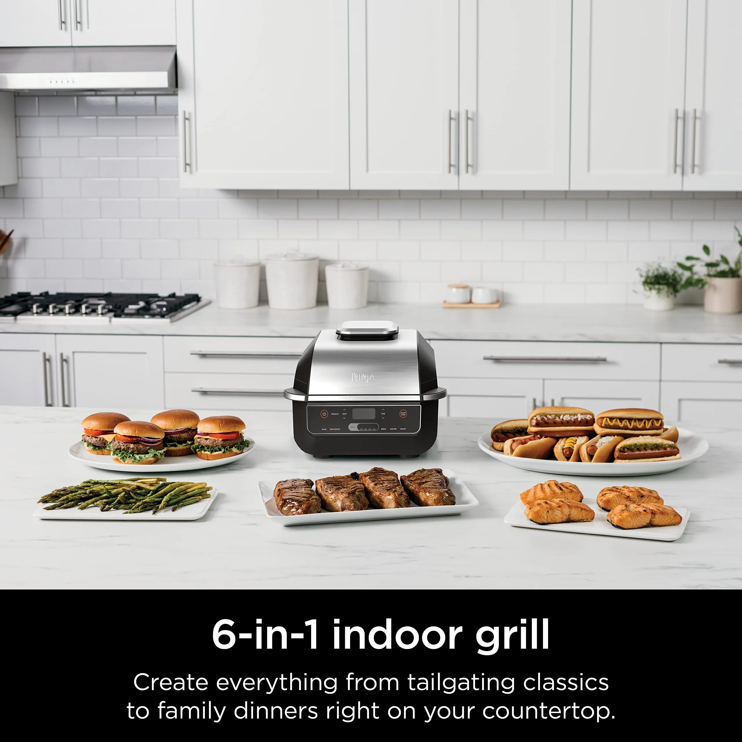 Ninja EG201 Foodi 6-in-1 Indoor Grill with Air Fry, Roast, Bake, Broil, &amp; Dehydrate, 2nd Generation, Dishwasher Safe, Black/Silver