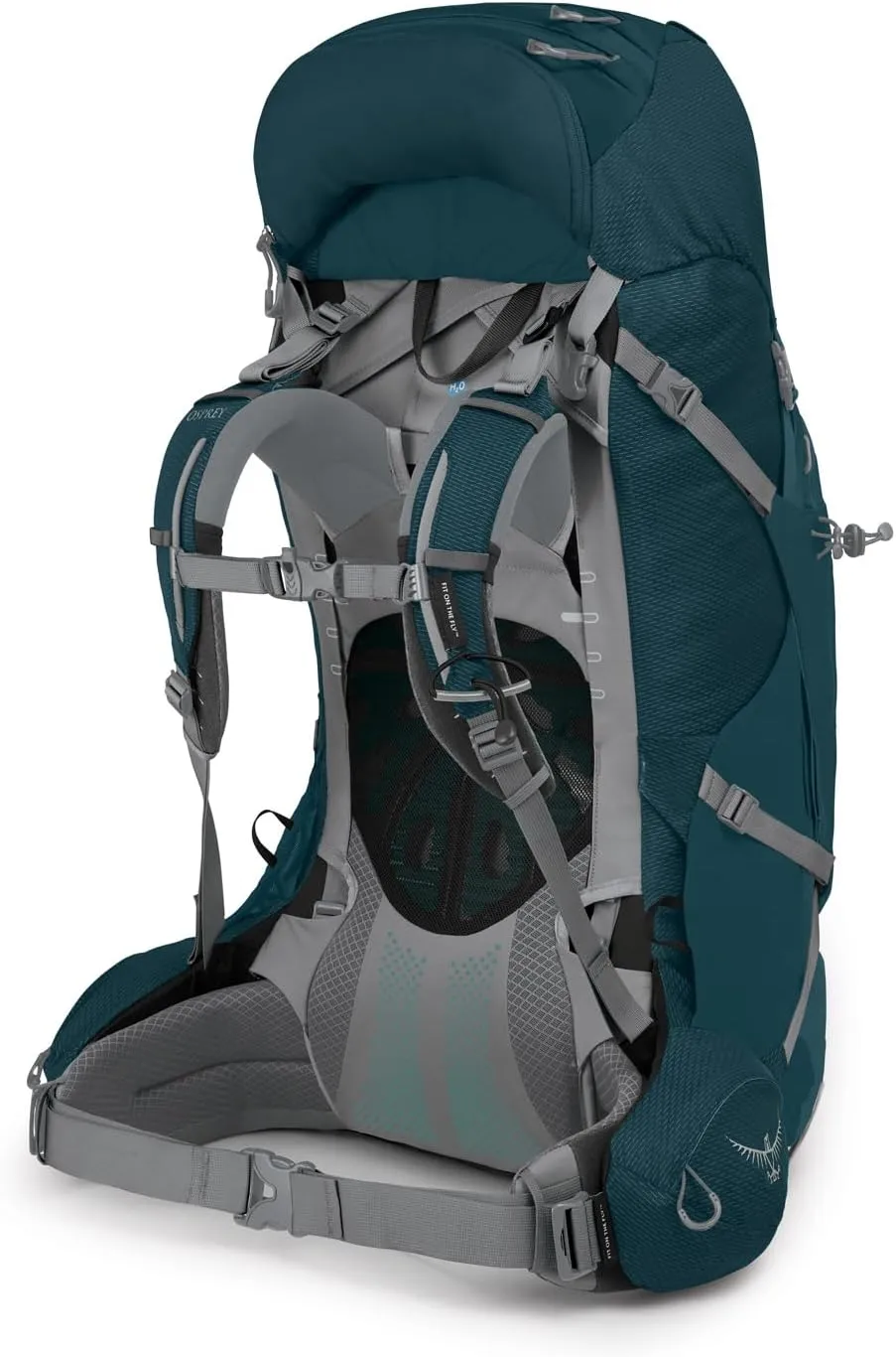 Osprey Ariel Plus 60 Women's Backpacking Backpack - Prior Season