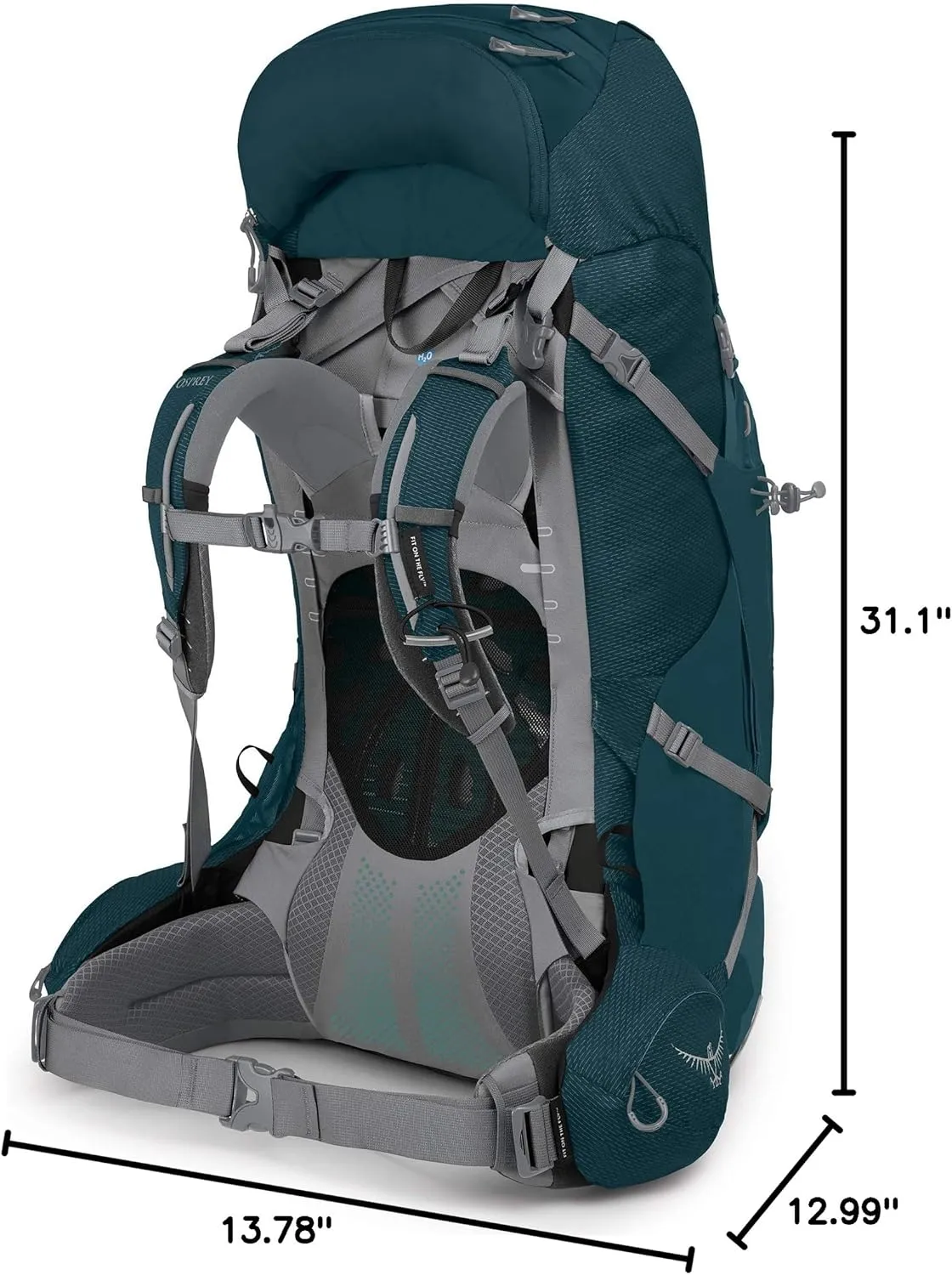 Osprey Ariel Plus 60 Women's Backpacking Backpack - Prior Season