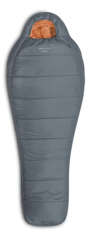 Pinguin Expert CCS 185cm RH Grey