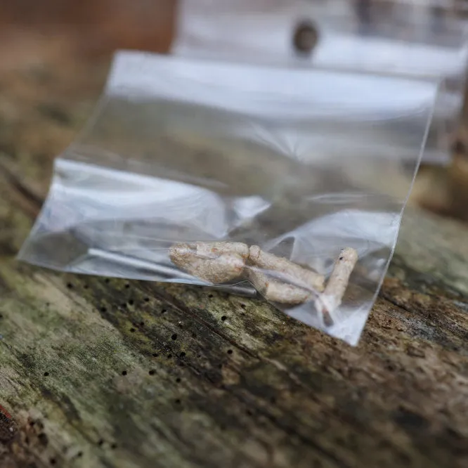 PSK-1 American Survival Kit