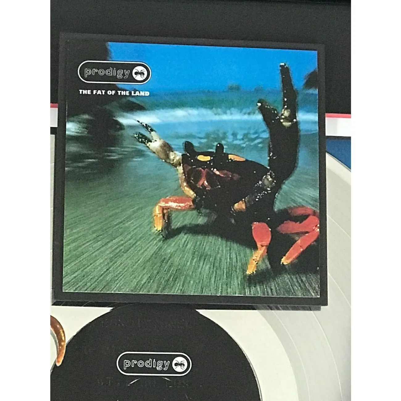 The Prodigy Fat Of The Land RIAA 2x Platinum Album Combo Award
