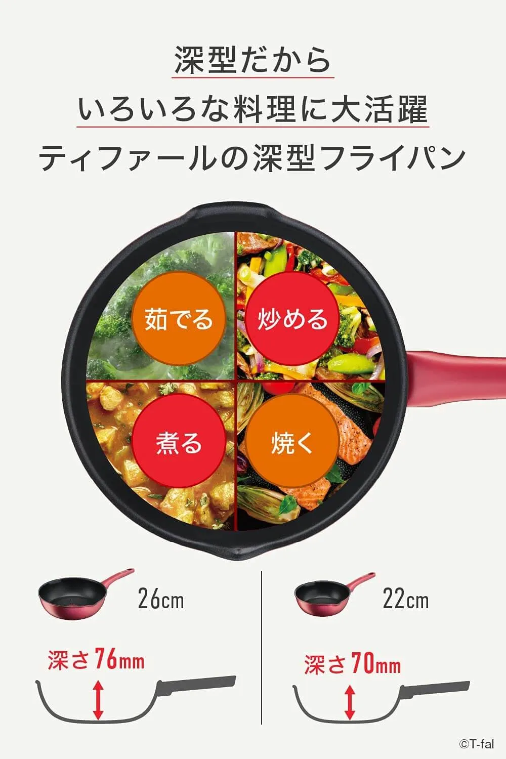UNLIMITED 6X Rouge Multi-Pan G2627